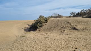 2023-GC--Mapalomas dunas-S123-264.jpg